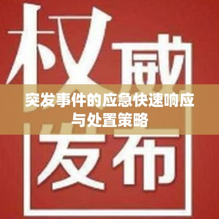 突发事件的应急快速响应与处置策略