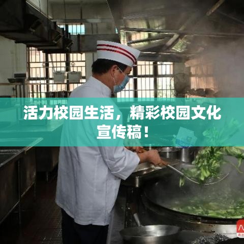 活力校园生活，精彩校园文化宣传稿！