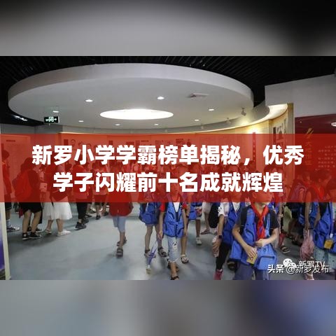 新罗小学学霸榜单揭秘，优秀学子闪耀前十名成就辉煌
