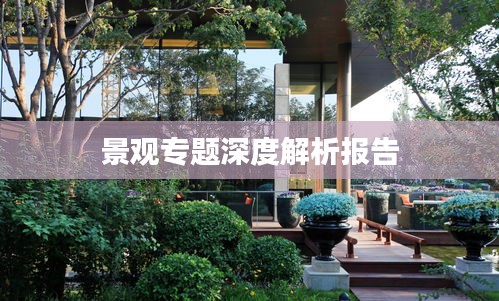 景观专题深度解析报告