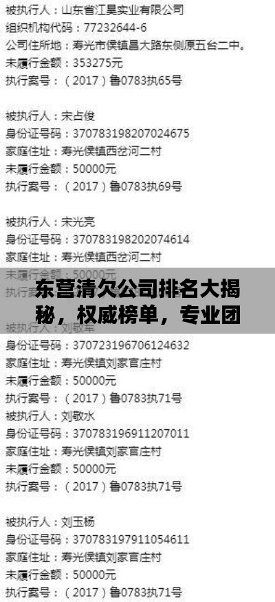 东营清欠公司排名大揭秘，权威榜单，专业团队上榜！