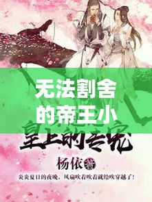 无法割舍的帝王小说魅力