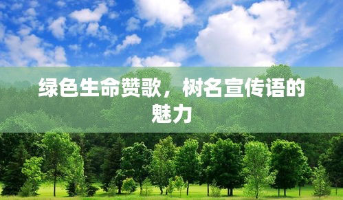 绿色生命赞歌，树名宣传语的魅力