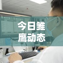 今日雏鹰动态速递