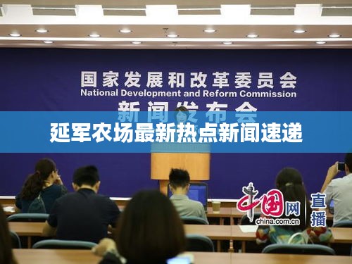 延军农场最新热点新闻速递