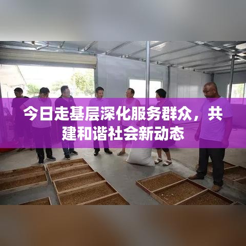 今日走基层深化服务群众，共建和谐社会新动态