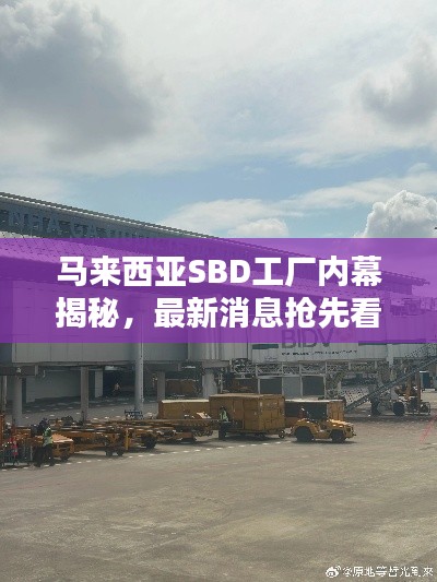 马来西亚SBD工厂内幕揭秘，最新消息抢先看