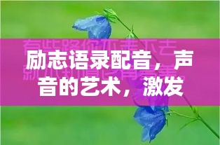 励志语录配音，声音的艺术，激发无限潜能的力量