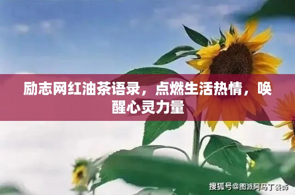 励志网红油茶语录，点燃生活热情，唤醒心灵力量