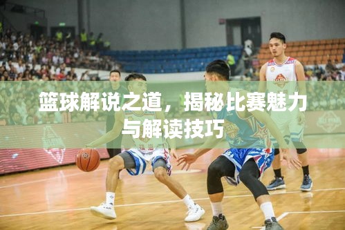 篮球解说之道，揭秘比赛魅力与解读技巧