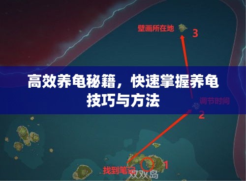 高效养龟秘籍，快速掌握养龟技巧与方法