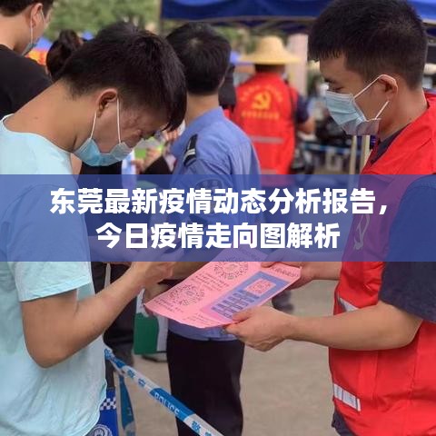 东莞最新疫情动态分析报告，今日疫情走向图解析