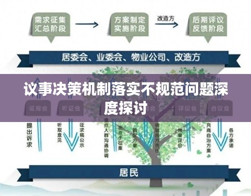 议事决策机制落实不规范问题深度探讨