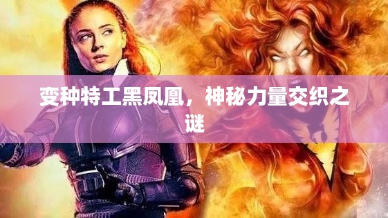 变种特工黑凤凰，神秘力量交织之谜