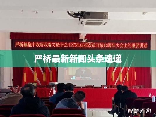 严桥最新新闻头条速递