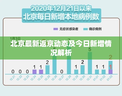北京最新返京动态及今日新增情况解析