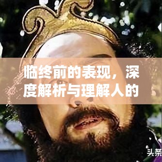 临终前的表现，深度解析与理解人的生死边缘体验