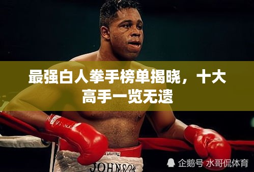 最强白人拳手榜单揭晓，十大高手一览无遗