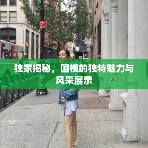 独家揭秘，国模的独特魅力与风采展示
