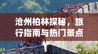 沧州柏林探秘，旅行指南与热门景点全攻略！