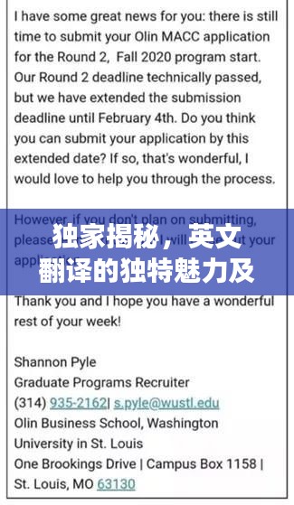 独家揭秘，英文翻译的独特魅力及其重要性