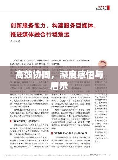 高效协同，深度感悟与启示