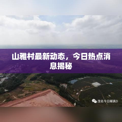 山雅村最新动态，今日热点消息揭秘