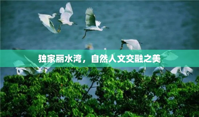 独家丽水湾，自然人文交融之美