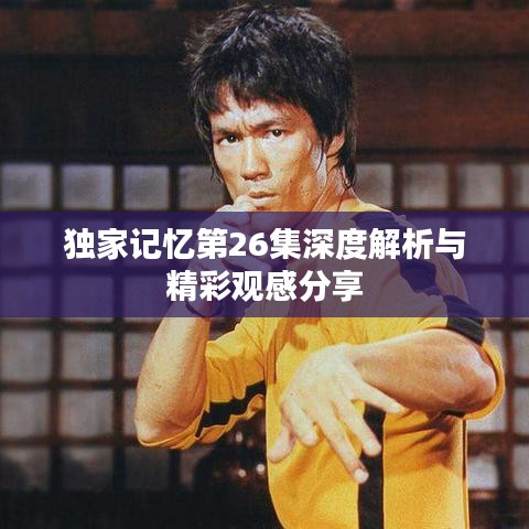 独家记忆第26集深度解析与精彩观感分享