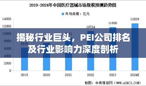 揭秘行业巨头，PEI公司排名及行业影响力深度剖析