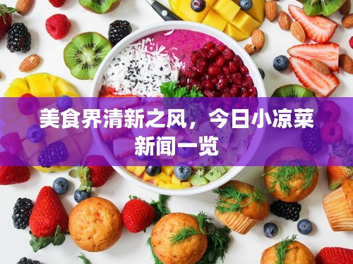 美食界清新之风，今日小凉菜新闻一览