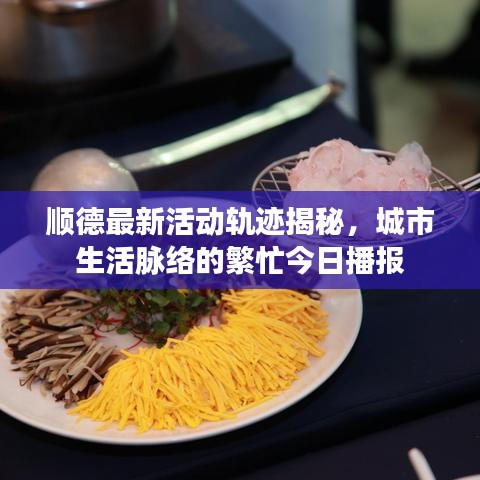 顺德最新活动轨迹揭秘，城市生活脉络的繁忙今日播报