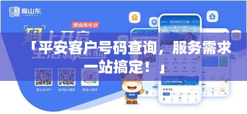 「平安客户号码查询，服务需求一站搞定！」