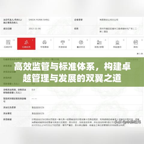 高效监管与标准体系，构建卓越管理与发展的双翼之道