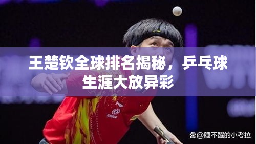 王楚钦全球排名揭秘，乒乓球生涯大放异彩