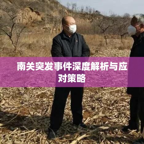 南关突发事件深度解析与应对策略