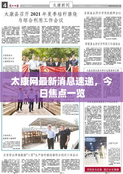 太康网最新消息速递，今日焦点一览