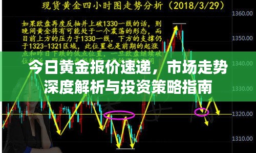 今日黄金报价速递，市场走势深度解析与投资策略指南