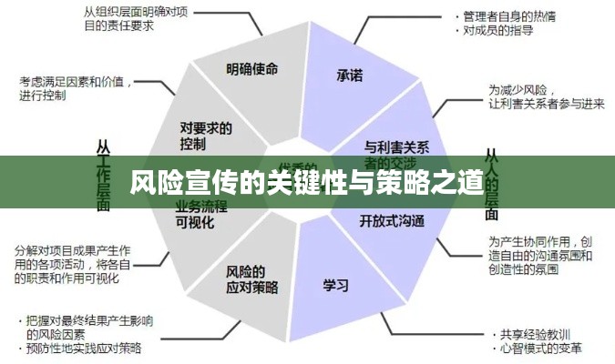 风险宣传的关键性与策略之道