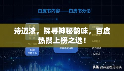 诗迈浓，探寻神秘韵味，百度热搜上榜之选！
