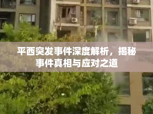 平西突发事件深度解析，揭秘事件真相与应对之道