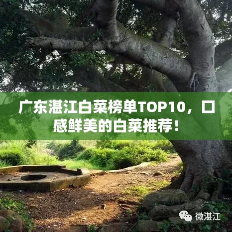 七贵五侯