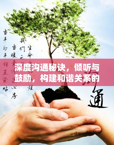 深度沟通秘诀，倾听与鼓励，构建和谐关系的艺术