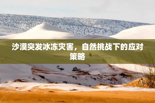 沙漠突发冰冻灾害，自然挑战下的应对策略