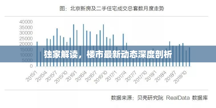 独家解读，楼市最新动态深度剖析