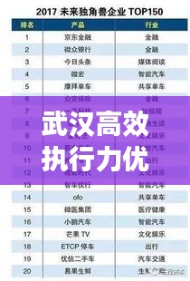 武汉高效执行力优秀企业榜单揭晓！哪家公司表现最佳？