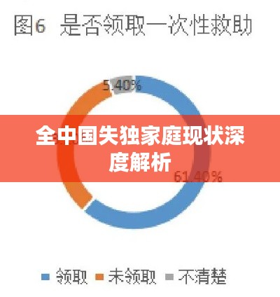 全中国失独家庭现状深度解析