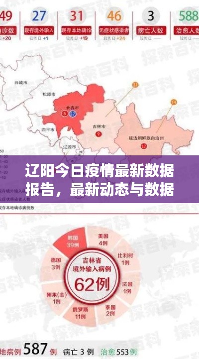 辽阳今日疫情最新数据报告，最新动态与数据解析