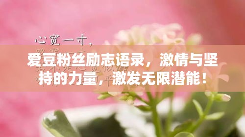 独学寡闻