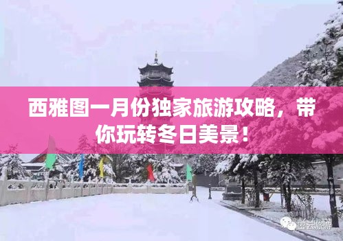 西雅图一月份独家旅游攻略，带你玩转冬日美景！